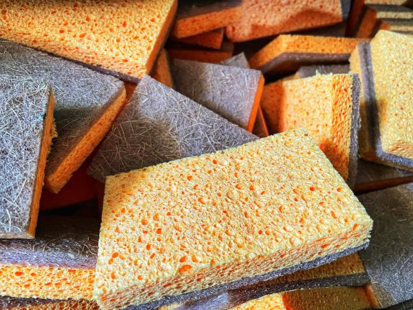Coco Sponge